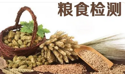 糧食檢測(cè)儀器有哪些？