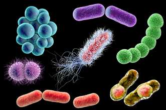 檢測細菌微生物的儀器都有哪些？