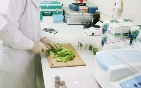 食品重金屬檢測儀，關(guān)注食品安全，防范重金屬危害